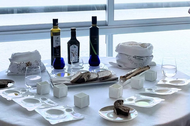 Olive Oil Tasting   Hotel Le Agavi