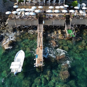 Le Agavi Visual 2025 Small