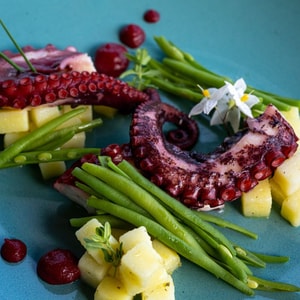 Remmese Social New 2025